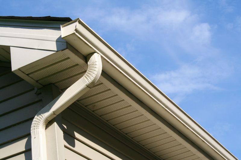 Gutter Extension Installation